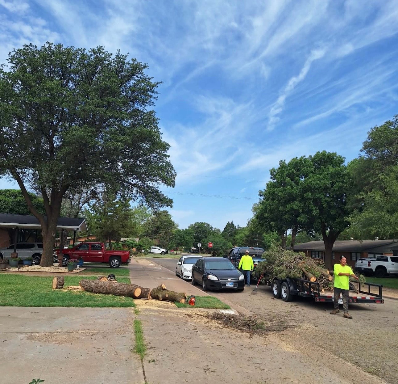 Tree Removal